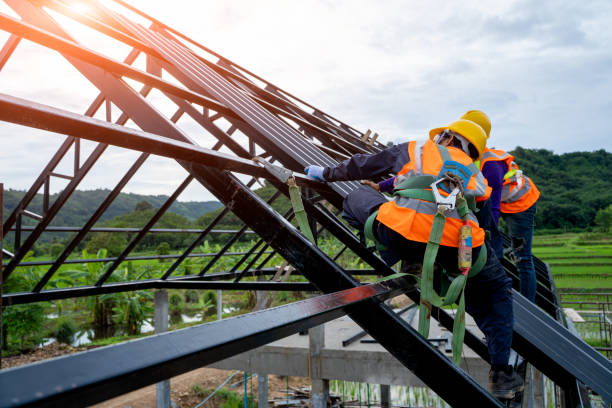 Best Metal Roofing Contractor  in Jal, NM